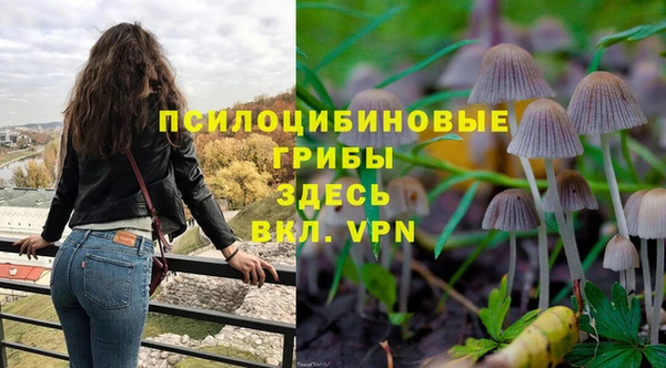 дурь Белоозёрский