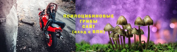 ALPHA PVP Беломорск